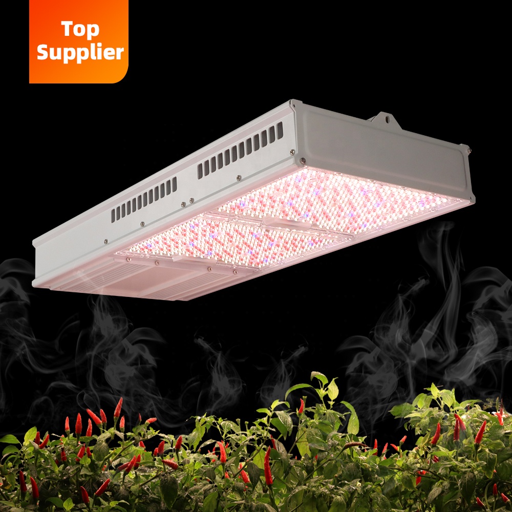 Led Grow Light 1000W Full Spectrum - Ekonomiczna lampa LED do uprawy roślin