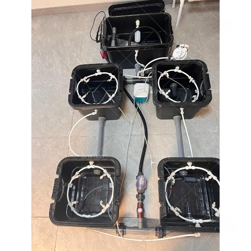 Dwc Bucket System 5 Gallon - Automatyczny system nawadniania hydroponicznego typu Dutch