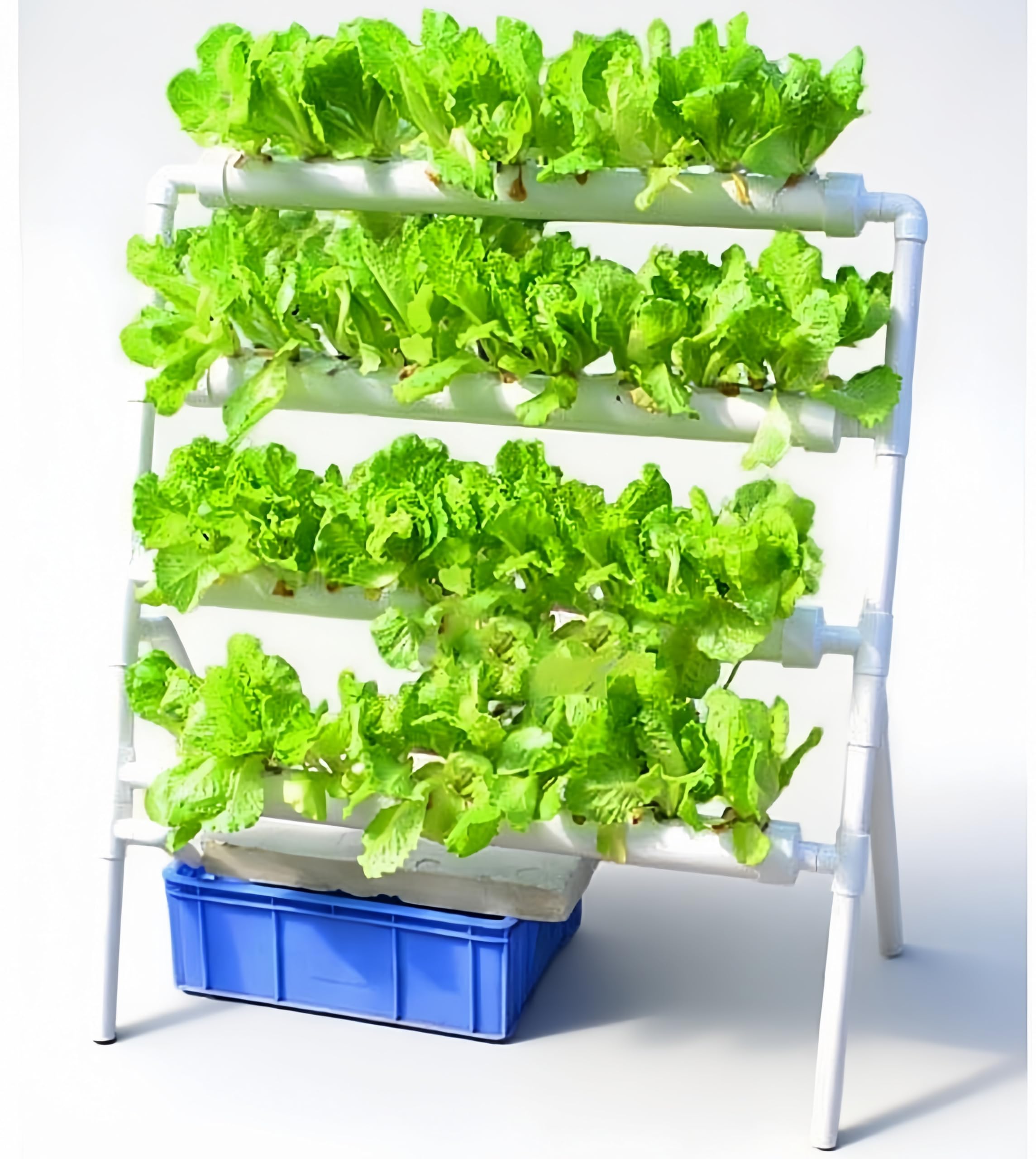 Hydroponic Growing System 36 Site - System hydroponiczny do uprawy roślin, 36