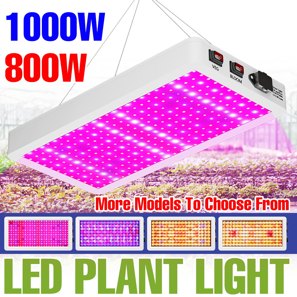 Led Grow Light 1000W Full Spectrum - Lampa LED do uprawy roślin 1000W