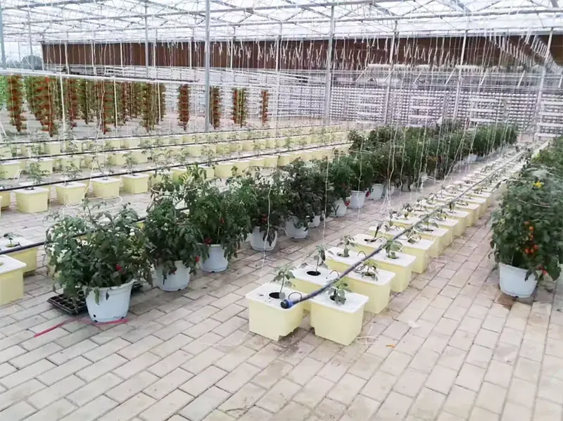 Dwc Bucket System 5 Gallon - Nowe zestawy do hydroponiki DWC RDWC