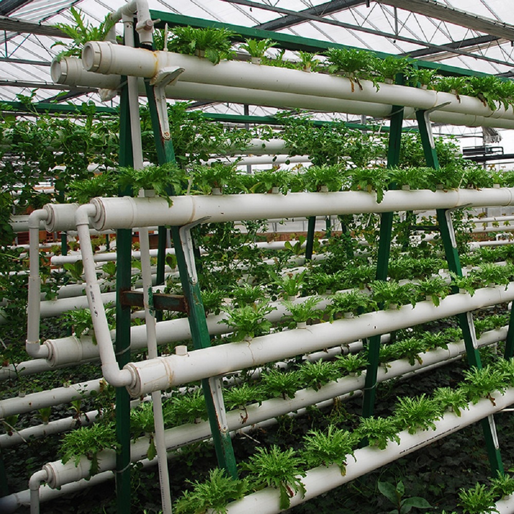 Producent sprzętu uprawy bezgl – Hydroponic Tower Garden recenzja i cena