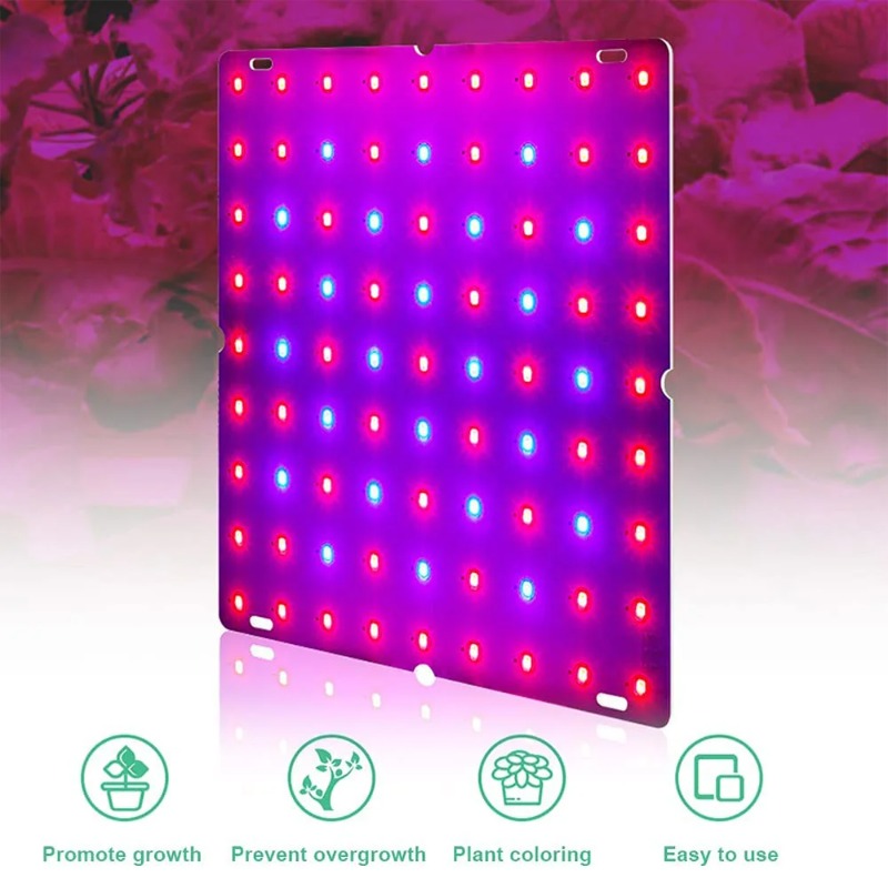 Lampa LED do uprawy roślin 100 – Led Grow Light 1000W Full Spectrum recenzja i cena