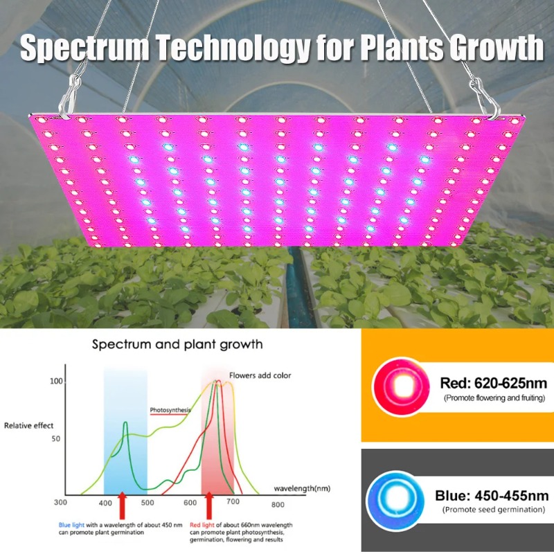 Lampa LED do uprawy roślin 100 – Led Grow Light 1000W Full Spectrum recenzja i cena