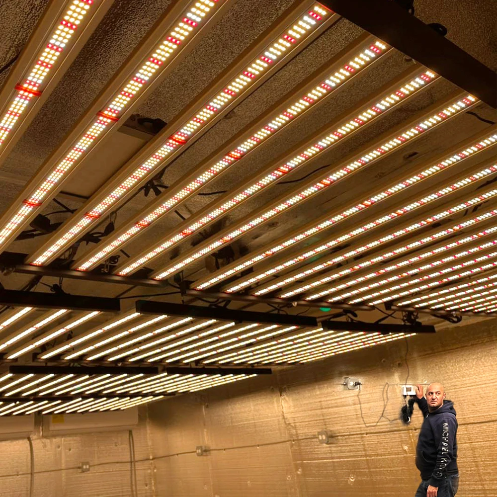 Dostępne od ręki lampy Phlizon – Led Grow Light Bar 640W recenzja i cena