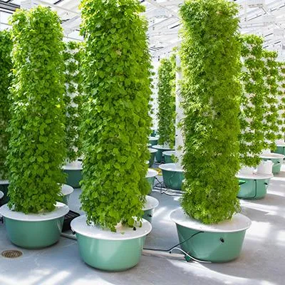 Systemy ogrodnicze aeroponiczn – Hydroponic Tower Garden recenzja i cena