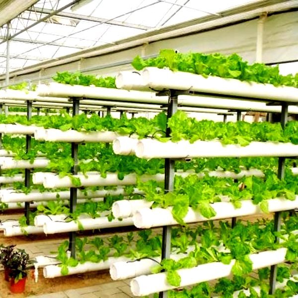 Zewnętrzne hydroponiczne wieże – Hydroponic Tower Garden recenzja i cena