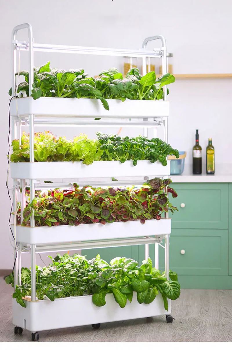 Domowy, pionowy system hydropo – Hydroponic Tower Garden recenzja i cena