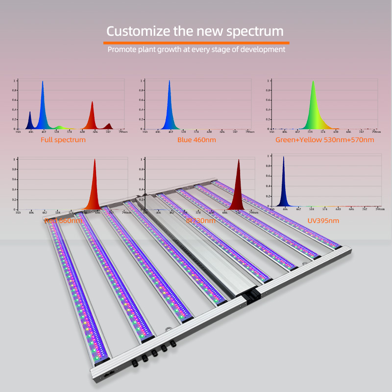 Oświetlenie do uprawy roślin h – Led Grow Light 1000W Full Spectrum recenzja i cena
