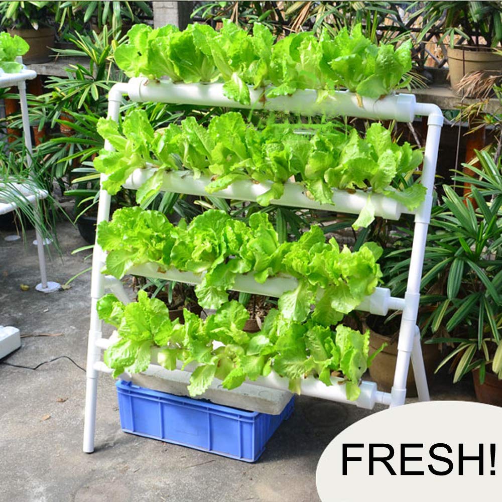 System hydroponiczny do uprawy – Hydroponic Growing System 36 Site recenzja i cena