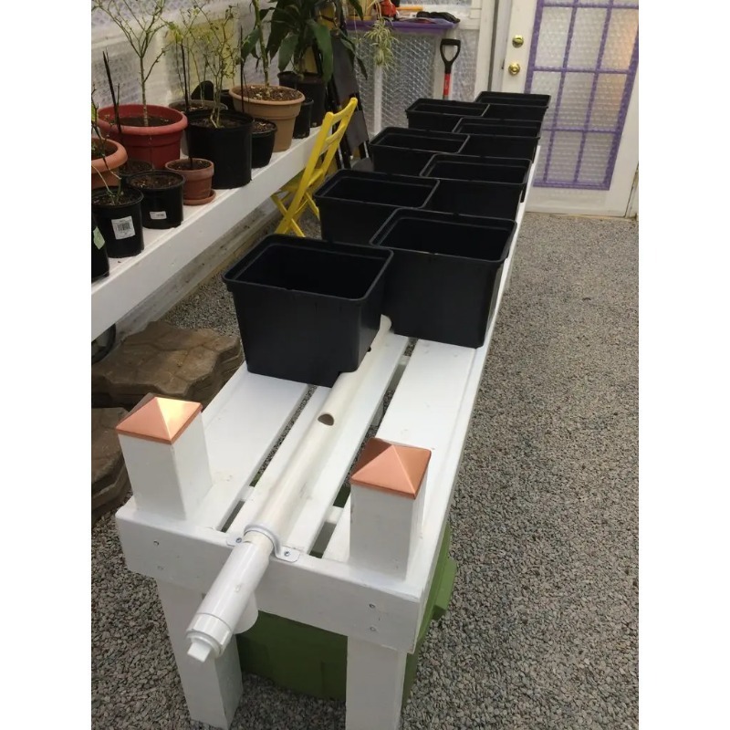 Automatyczny system nawadniani – Dwc Bucket System 5 Gallon recenzja i cena