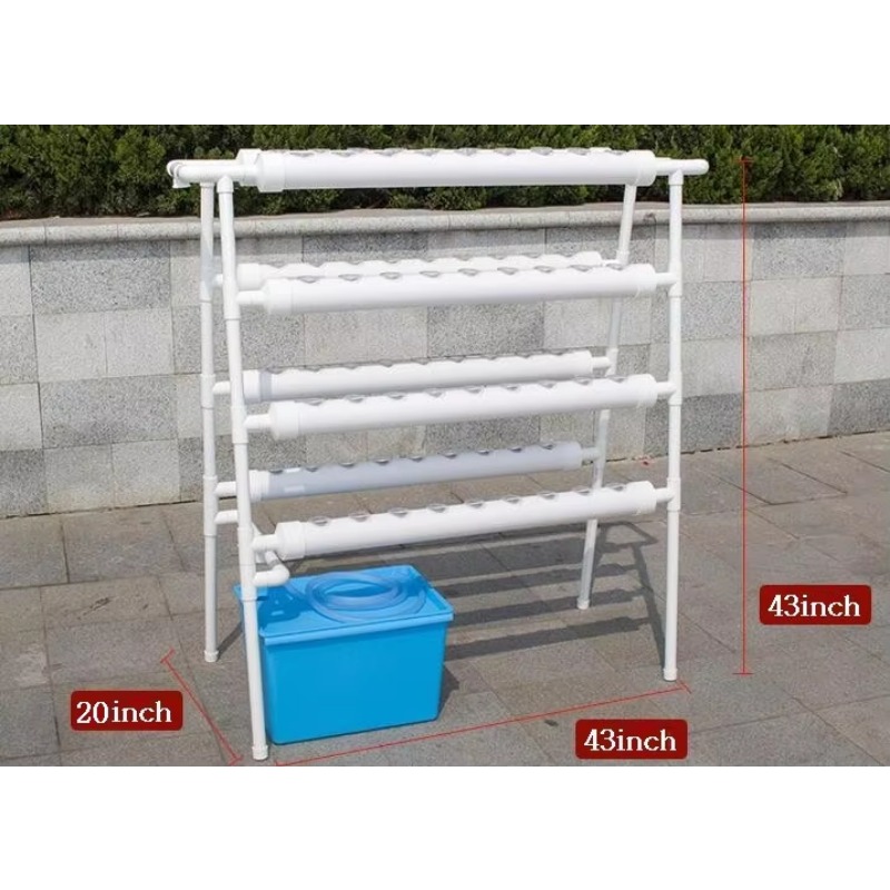 Zestaw do hydroponicznej upraw – Deep Water Culture Kit recenzja i cena