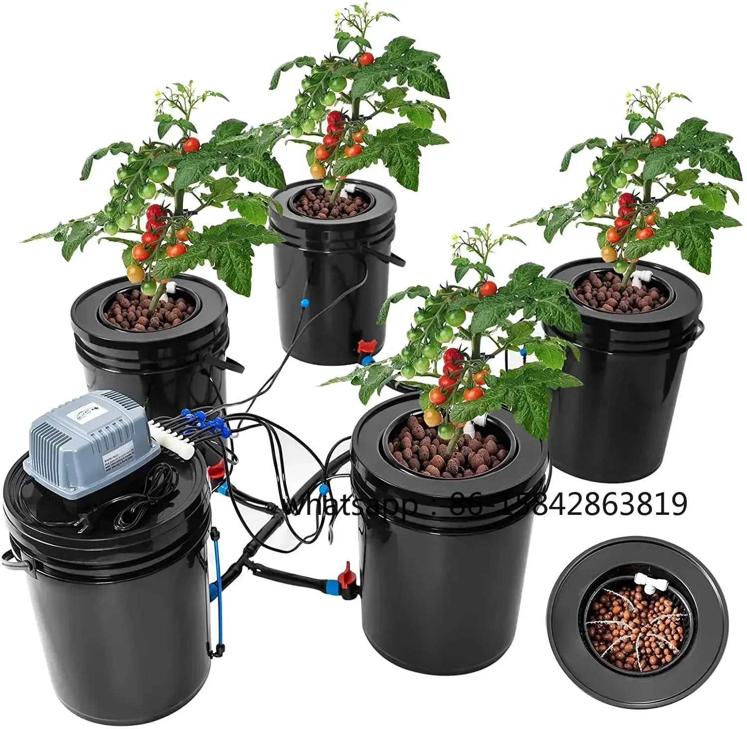 Nowe zestawy do hydroponiki DW – Dwc Bucket System 5 Gallon recenzja i cena