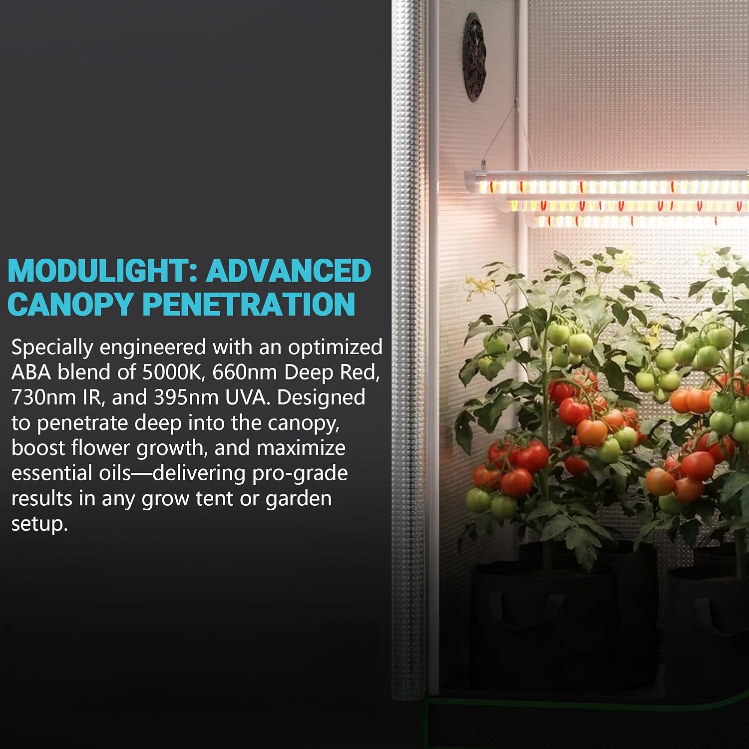 Kompletny zestaw do uprawy roś – Carbon Filter Grow 6 Inch recenzja i cena