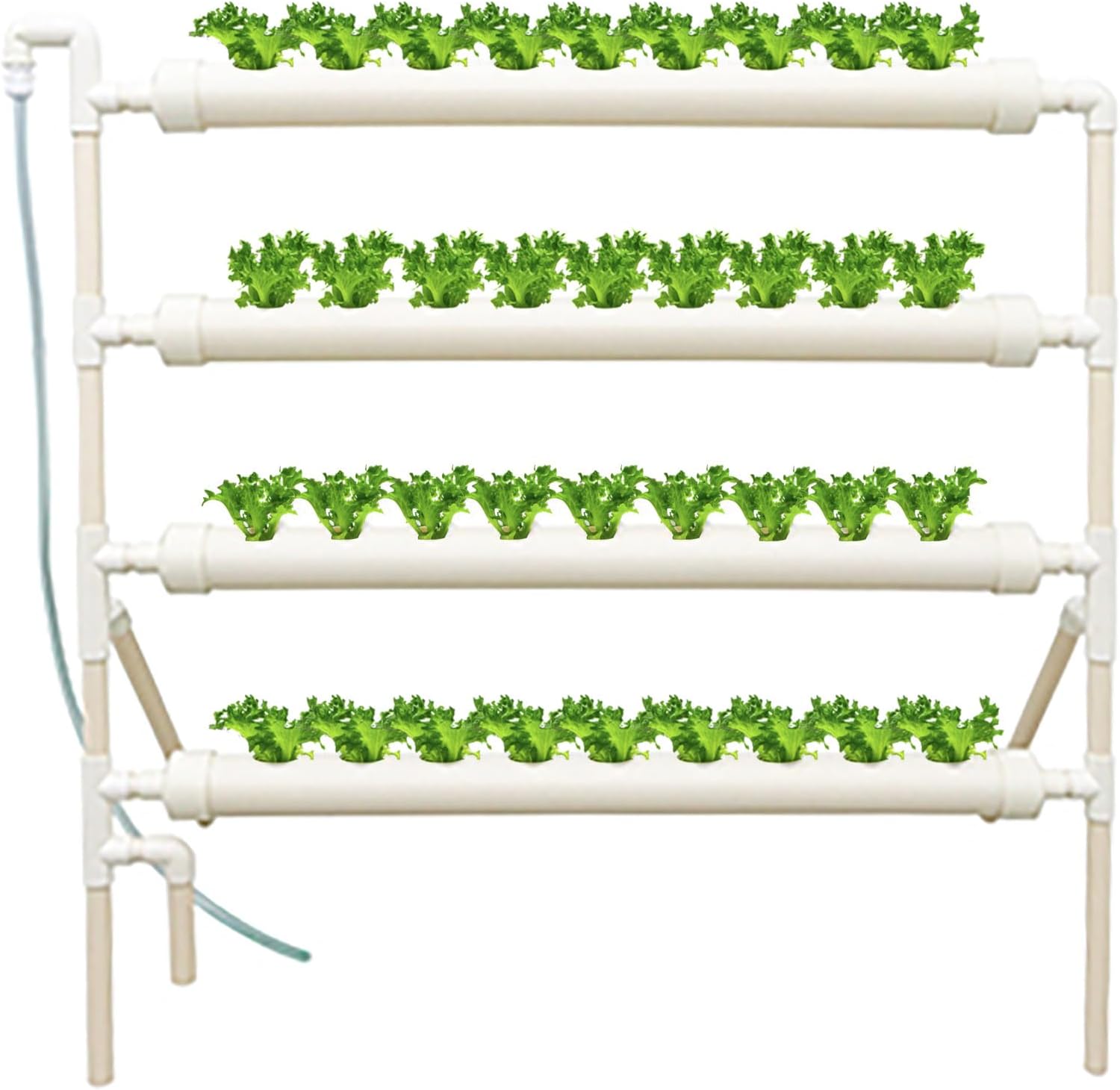 Zestaw do uprawy hydroponiczne – Hydroponic Growing System 36 Site recenzja i cena