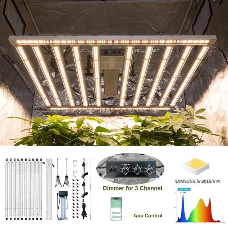 Kompletny zestaw do uprawy w p – Carbon Filter Grow 6 Inch recenzja i cena