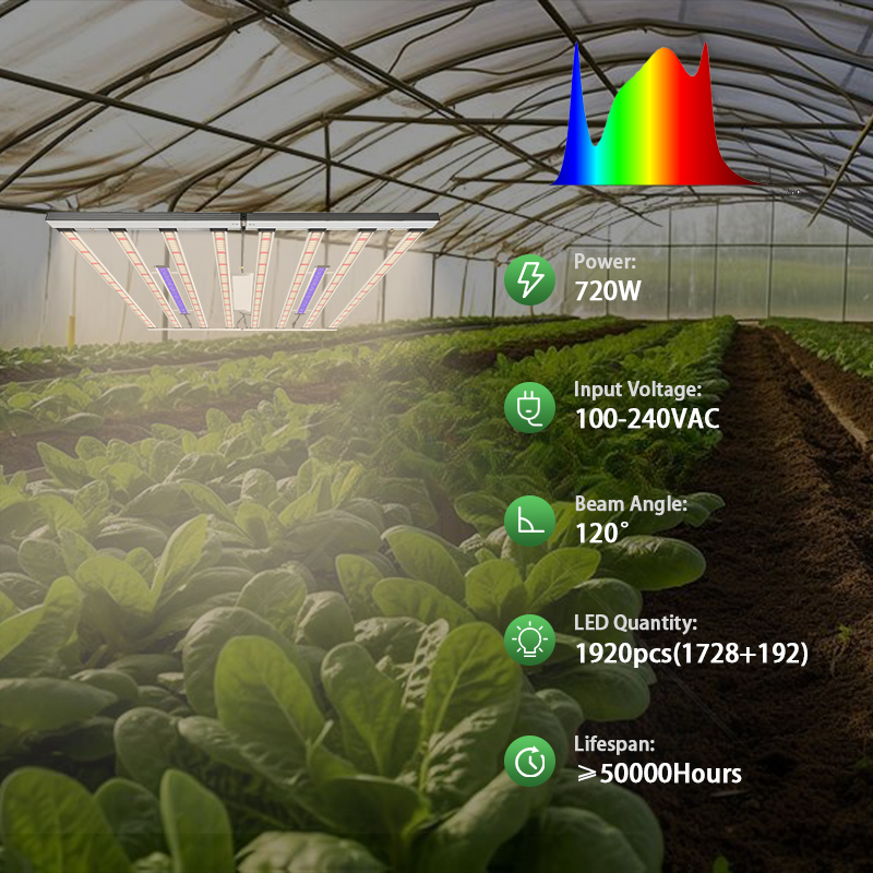 Lampa LED do uprawy roślin 100 – Led Grow Light 1000W Full Spectrum recenzja i cena