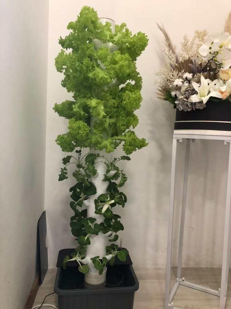 Wieża do hydroponiki pionowej, – Hydroponic Tower Garden recenzja i cena