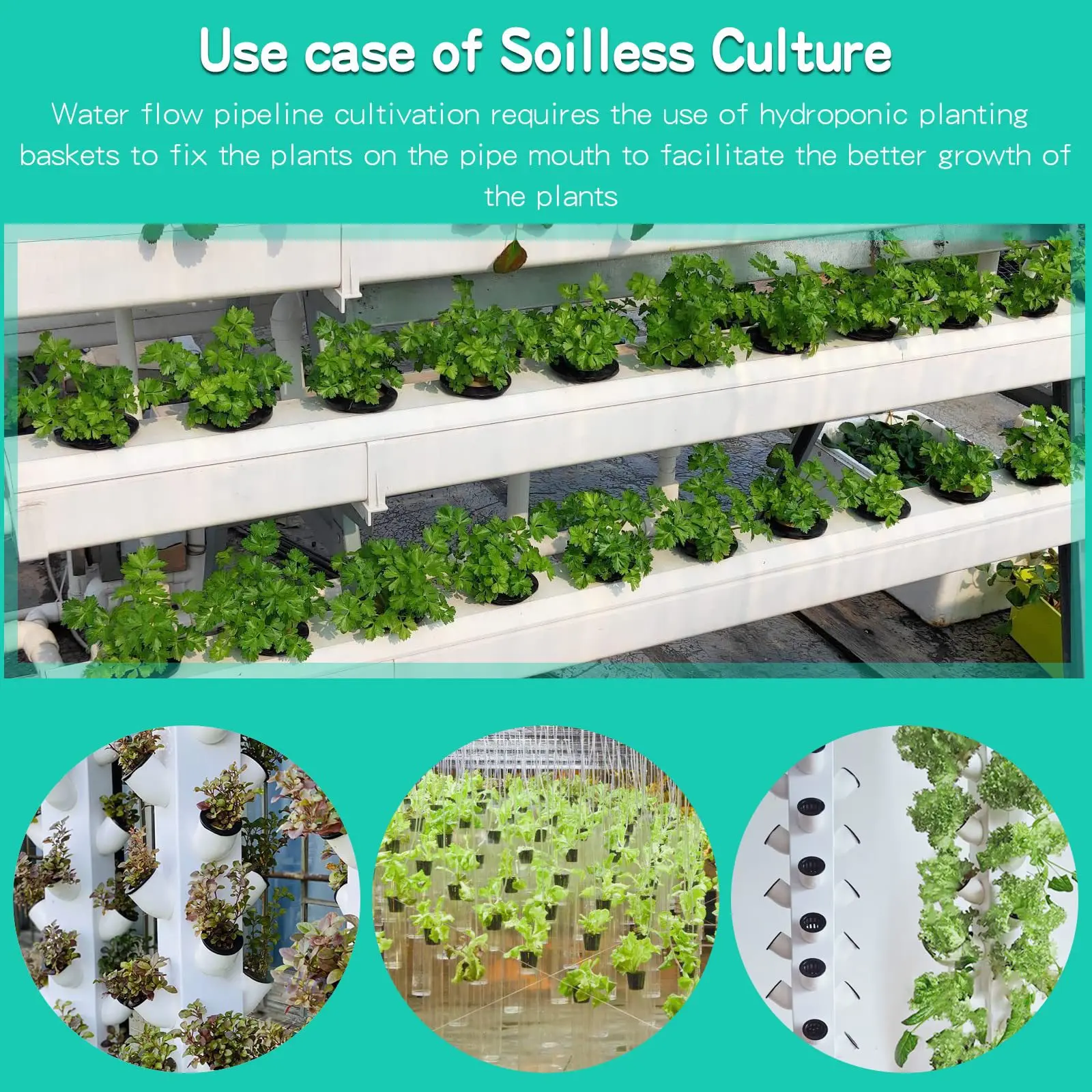 10 SZTUK 3-calowych kubków hyd – Hydroponic Net Pots 3 Inch recenzja i cena