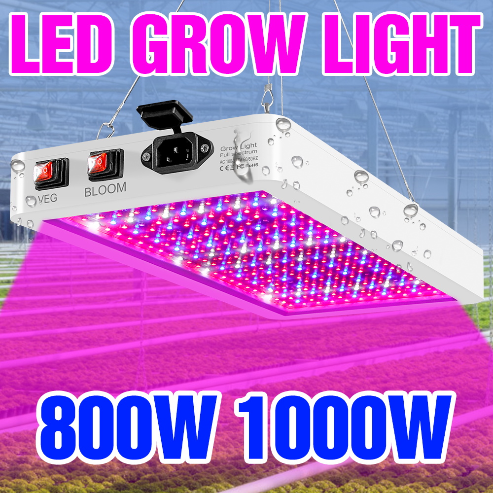 Lampa LED do uprawy roślin 100 – Led Grow Light 1000W Full Spectrum recenzja i cena