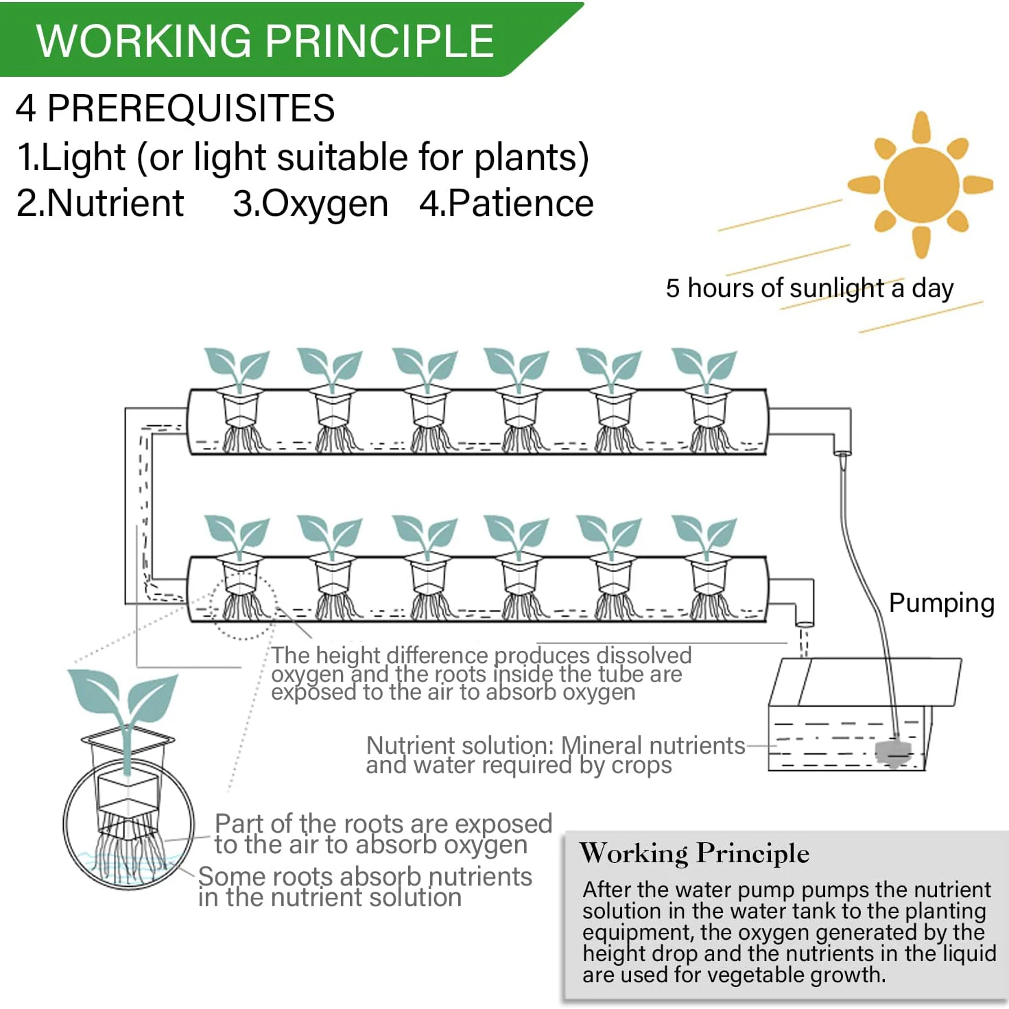 Zestawy do uprawy roślin metod – Hydroponic Growing System 36 Site recenzja i cena