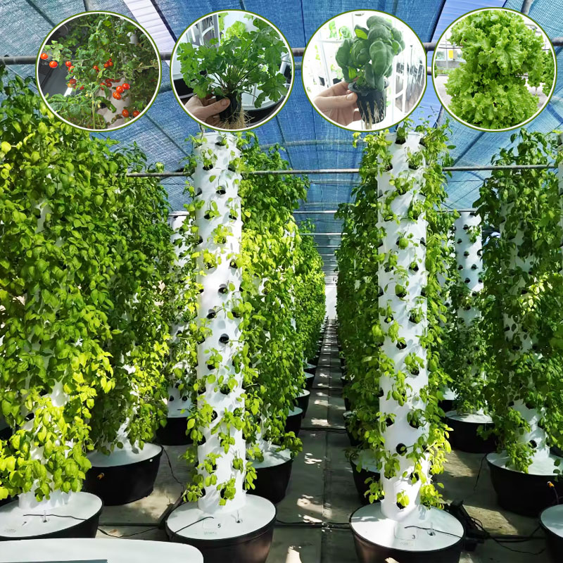 Lyine Aeroponiczna Pionowa Far – Hydroponic Tower Garden recenzja i cena